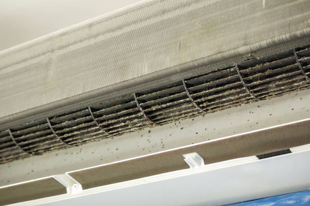 Best Affordable HVAC Duct Cleaning  in Fayetteville, AL