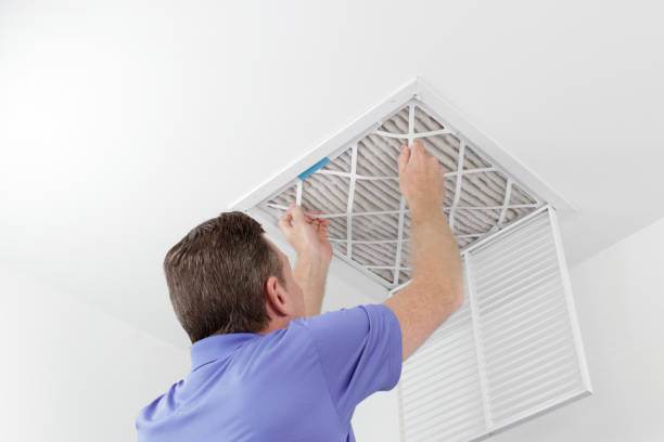 Best Duct Cleaning for Homes  in Fayetteville, AL